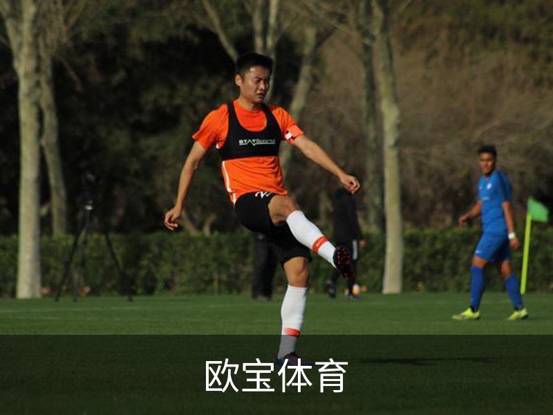企业介绍